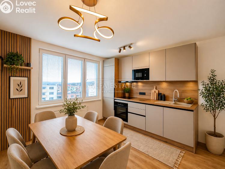 Sale apartment 3+KK Karlovy Vary, Východní č. 2