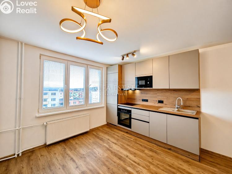 Sale apartment 3+KK Karlovy Vary, Východní č. 10