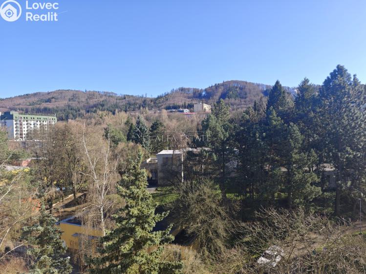 Sale apartment 3+KK Karlovy Vary, Východní č. 41