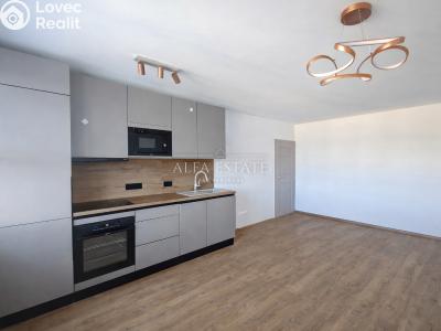 Prodej bytu 3+KK Karlovy Vary, Východní č. 2