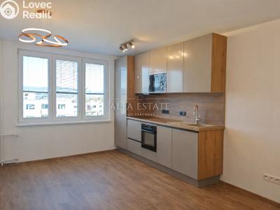 Prodej bytu 3+KK Karlovy Vary, Východní č. 3