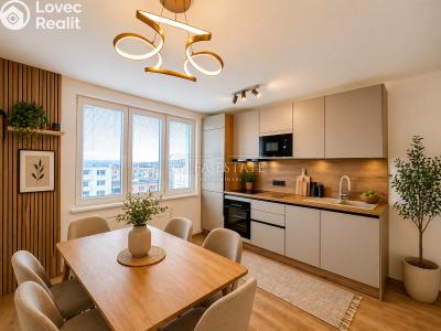 Prodej bytu 3+KK Karlovy Vary, Východní č. 1