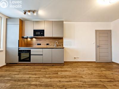 Продаж квартири 3+KK Karlovy Vary, Východní č. 11