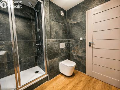 Продаж квартири 3+KK Karlovy Vary, Východní č. 23