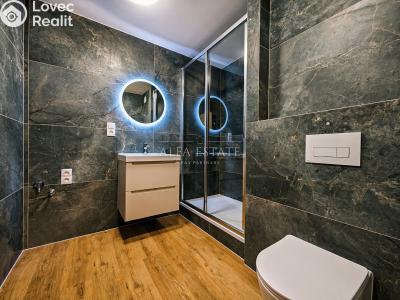 Продаж квартири 3+KK Karlovy Vary, Východní č. 24