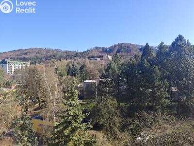 Продаж квартири 3+KK Karlovy Vary, Východní č. 41