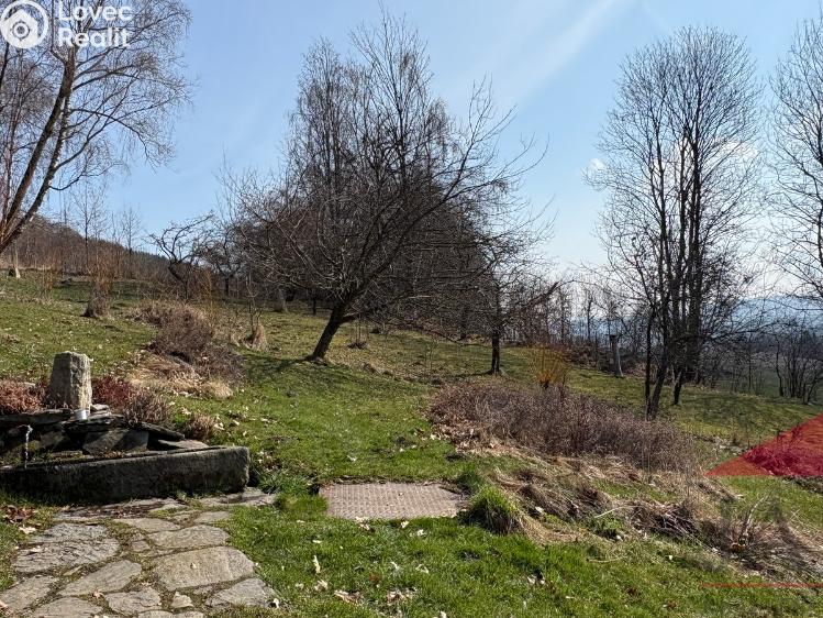 Prodej chalupy Stachy č. 21