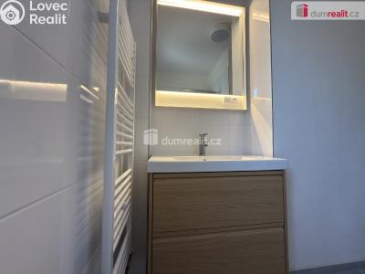 Pronájem bytu 2+1 Ústí nad Labem, Gočárova č. 2