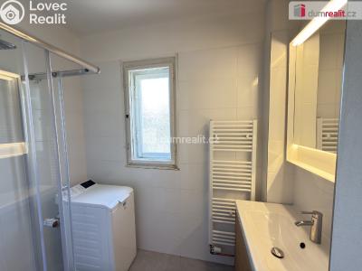 Pronájem bytu 2+1 Ústí nad Labem, Gočárova č. 6