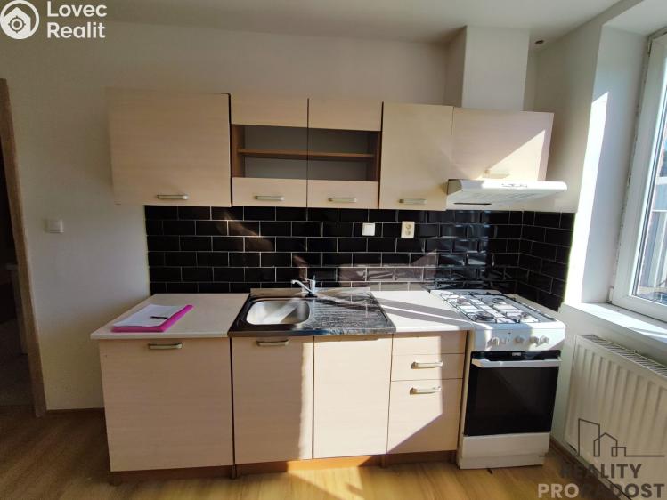 Pronájem bytu 1+KK Návsí č. 2