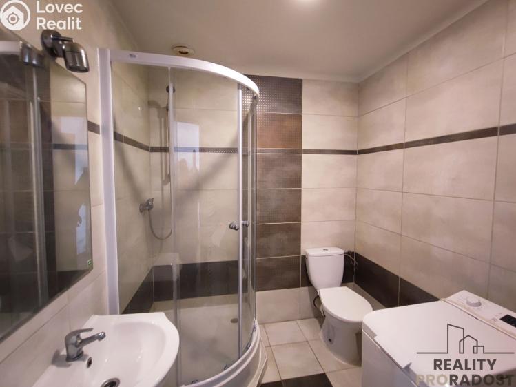 Pronájem bytu 1+KK Návsí č. 3