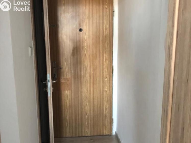 Pronájem bytu 1+KK Návsí č. 4