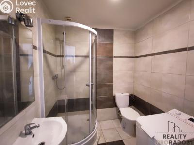 Pronájem bytu 1+KK Návsí č. 3