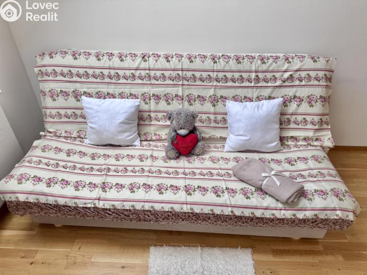 Pronájem bytu 1+KK Praha, Tyršova 1832/7 č. 11