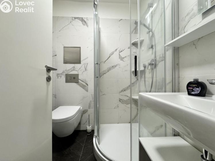 Pronájem bytu 1+KK Praha, Tyršova 1832/7 č. 16