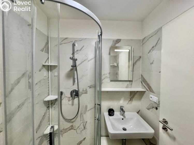 Pronájem bytu 1+KK Praha, Tyršova 1832/7 č. 17