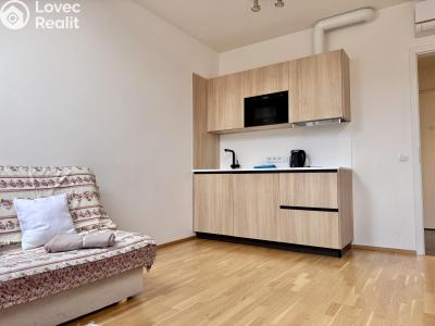 Pronájem bytu 1+KK Praha, Tyršova č. 1