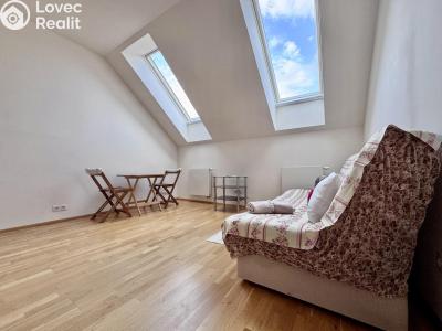 Pronájem bytu 1+KK Praha, Tyršova č. 6