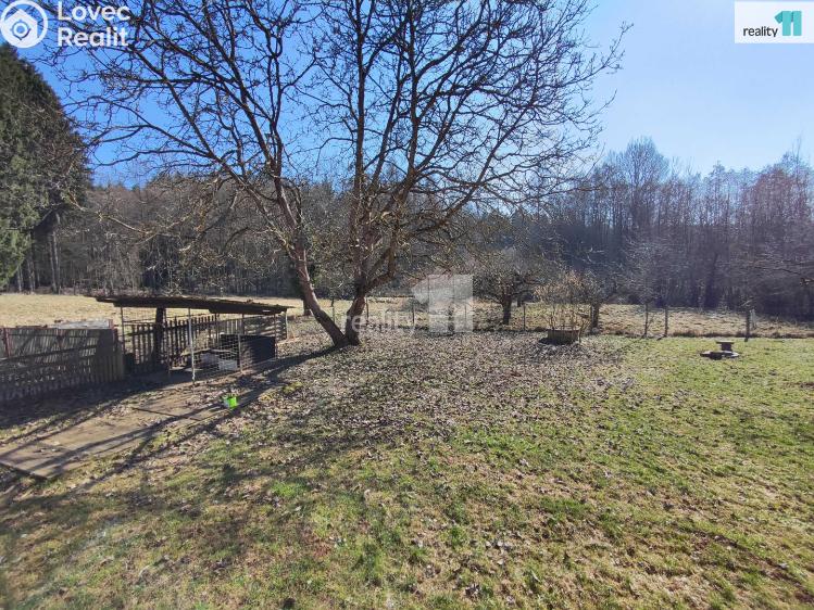 Rent family house Nová Paka, Komenského 313 č. 20