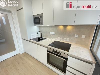 Pronájem bytu 1+KK Praha 5, U Lihovaru č. 4