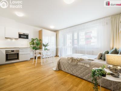 Pronájem bytu 1+KK Praha 5, Pod stolovou horou č. 5