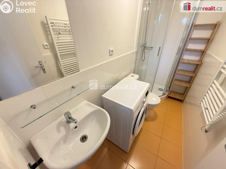 Pronájem bytu 1+KK Praha 5, Na Valentince č. 5