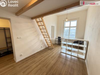 Pronájem bytu 1+KK Praha 5, Na Valentince č. 4