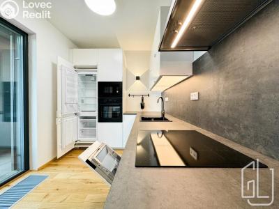 Rent apartment 2+KK Praha, Sokolova č. 2