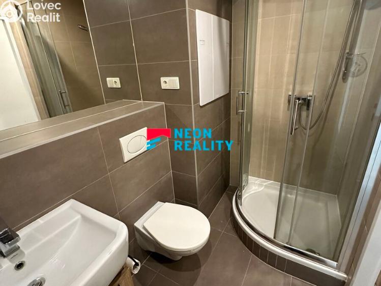 Rent apartment 1+1 Ostrava, Vršovců č. 4