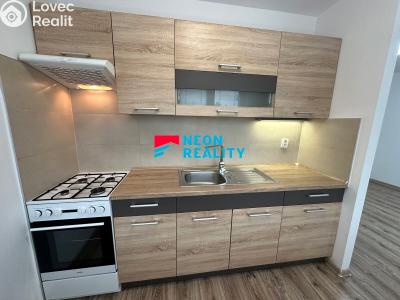 Pronájem bytu 1+1 Ostrava, Vršovců č. 1