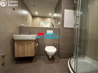 Pronájem bytu 1+1 Ostrava, Vršovců č. 3