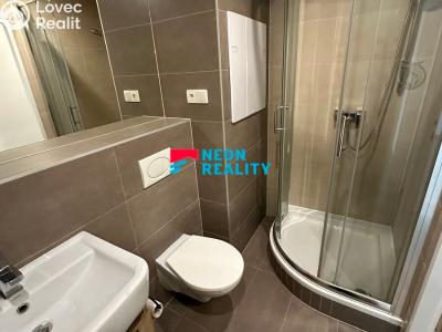 Pronájem bytu 1+1 Ostrava, Vršovců č. 4