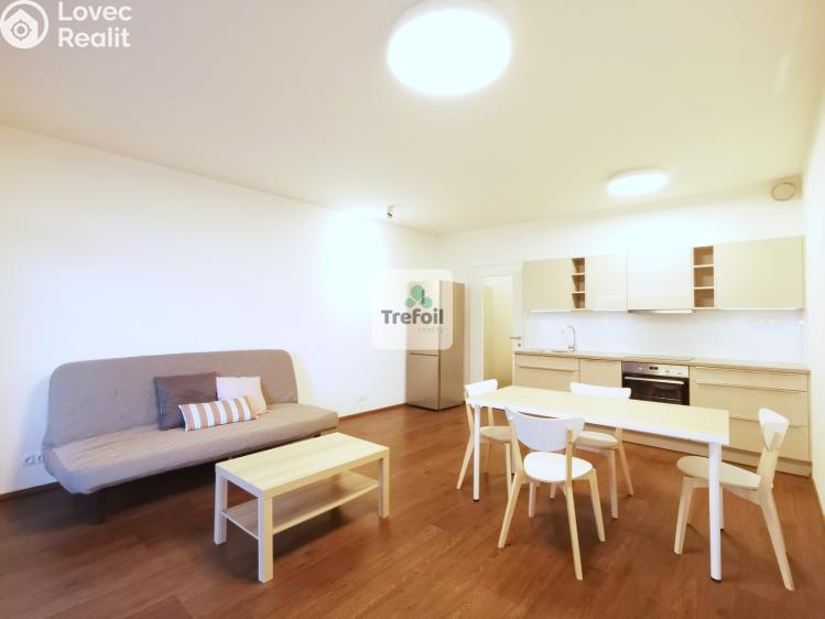 Pronájem bytu 1+KK Praha, Česká 1332/8 č. 2