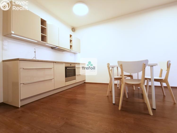 Pronájem bytu 1+KK Praha, Česká 1332/8 č. 7