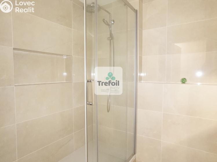 Pronájem bytu 1+KK Praha, Česká 1332/8 č. 10