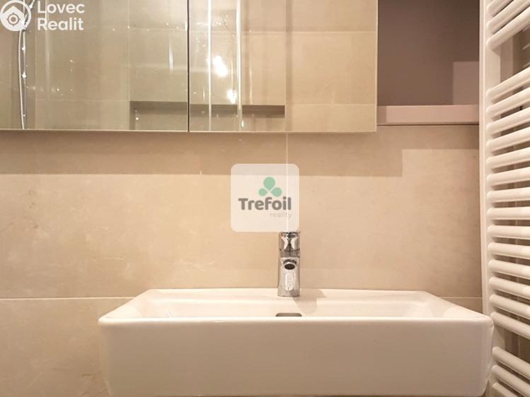 Pronájem bytu 1+KK Praha, Česká 1332/8 č. 11