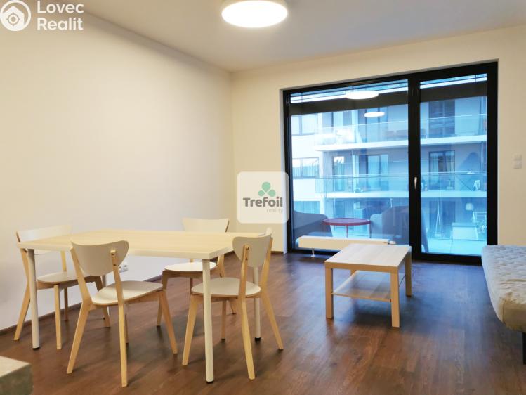 Pronájem bytu 1+KK Praha, Česká 1332/8 č. 12