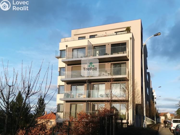 Pronájem bytu 1+KK Praha, Česká 1332/8 č. 16