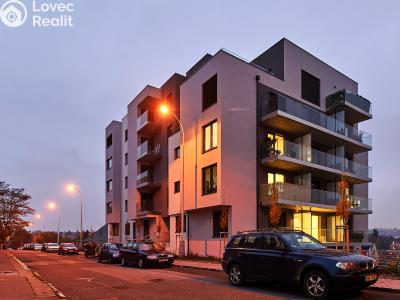 Pronájem bytu 1+KK Praha, Česká č. 1