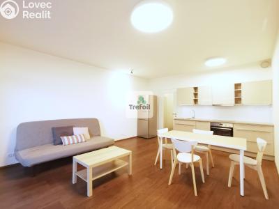 Pronájem bytu 1+KK Praha, Česká č. 2