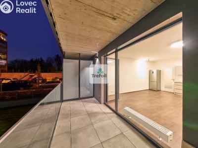 Pronájem bytu 1+KK Praha, Česká č. 4