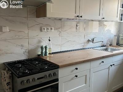 Rent apartment 1+1 Ústí nad Labem, Bratislavská č. 4