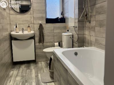 Rent apartment 1+1 Ústí nad Labem, Bratislavská č. 9