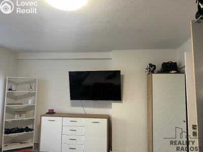 Rent apartment 1+1 Ústí nad Labem, Bratislavská č. 11