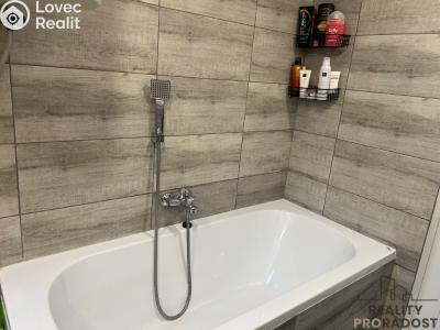 Rent apartment 1+1 Ústí nad Labem, Bratislavská č. 19