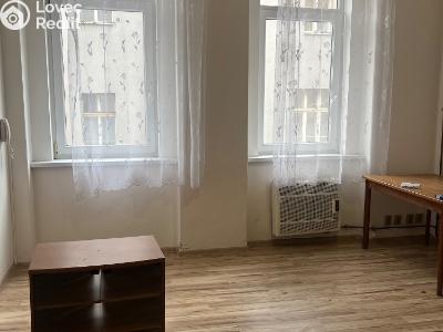 Rent apartment 1+1 Ústí nad Labem, Horova č. 5