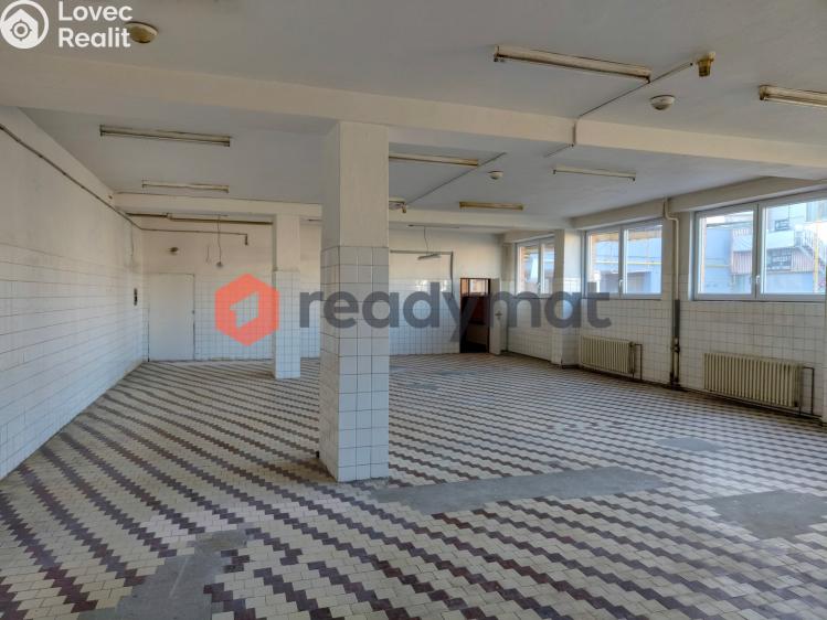 Pronájem skladového prostoru Hodonín, U Tirexu č. 1