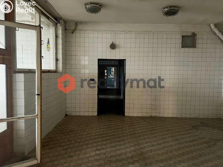 Pronájem skladového prostoru Hodonín, U Tirexu č. 3