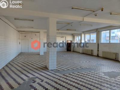 Pronájem skladového prostoru Hodonín, U Tirexu č. 1