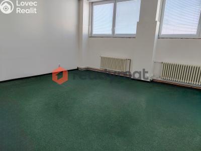 Pronájem skladového prostoru Hodonín, U Tirexu č. 2